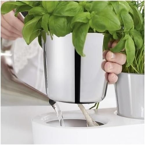 WMF 0641306040 Gourmet Herb Garden Set of 3 3 parts - Foto 10 di 10