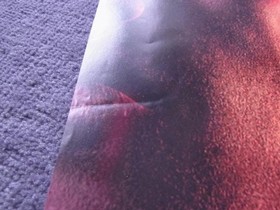 Poster Virtua Fighter 4: Birth of Phoenix Sega Saturn SS #c784c5