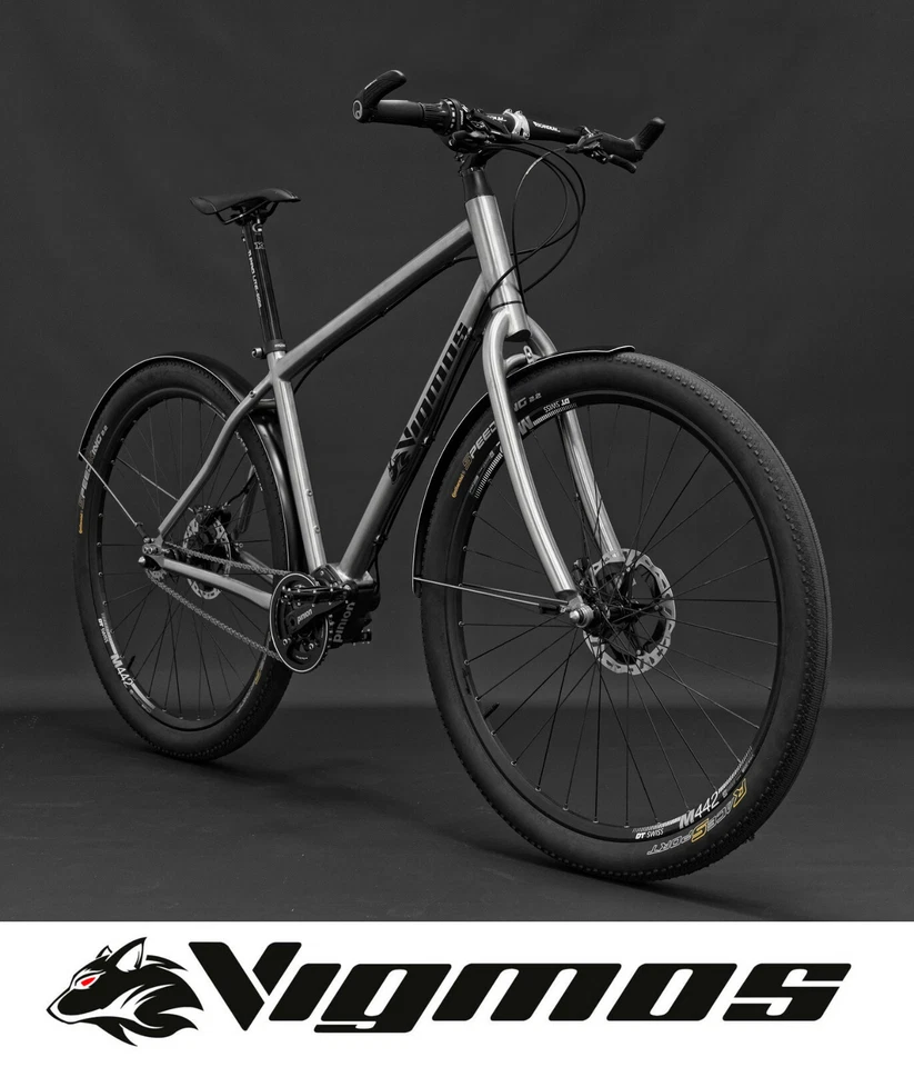 29er Pinion Velo Titan Rad titanium Reiserad Stadtrad bike trekking gear bicycle