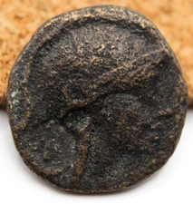 Hellenistic Greek | Pergamon, Mysia | AE17 | 80-10 BC | Athena | Owl | Insect CM