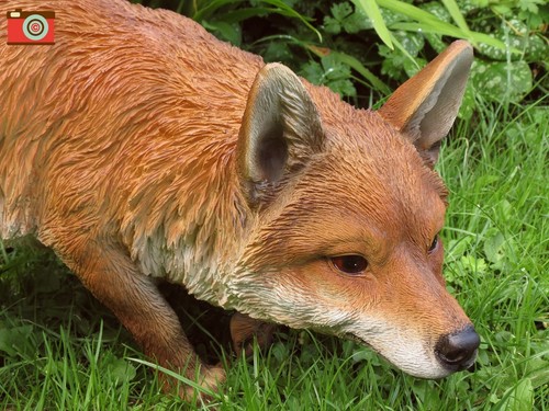 PROWLING FOX LIFE SIZE. Ultra Real Home & Garden Ornament. Vivid Arts. Stunning - Picture 2 of 11