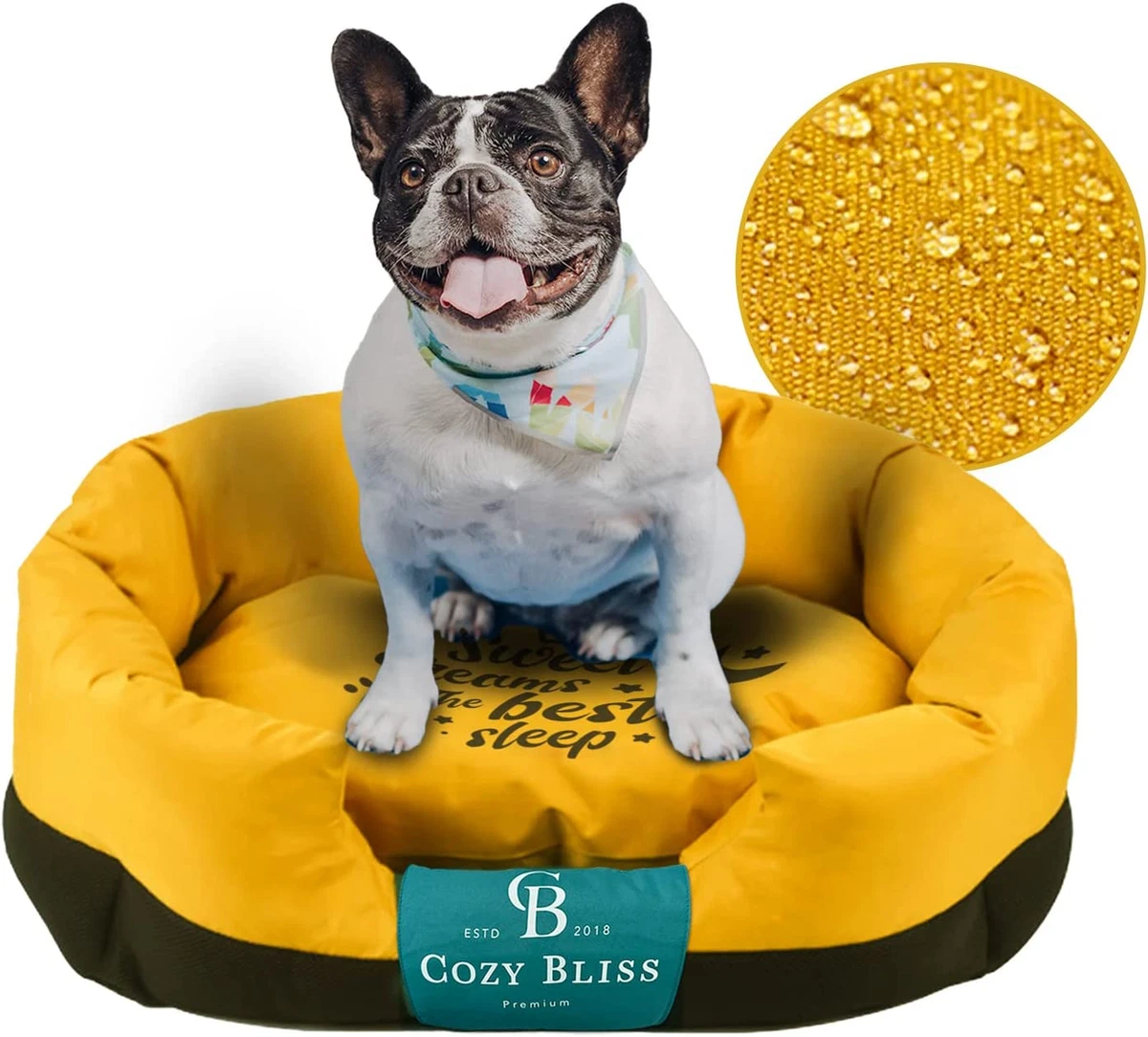 Chewy dog crate beds 2025