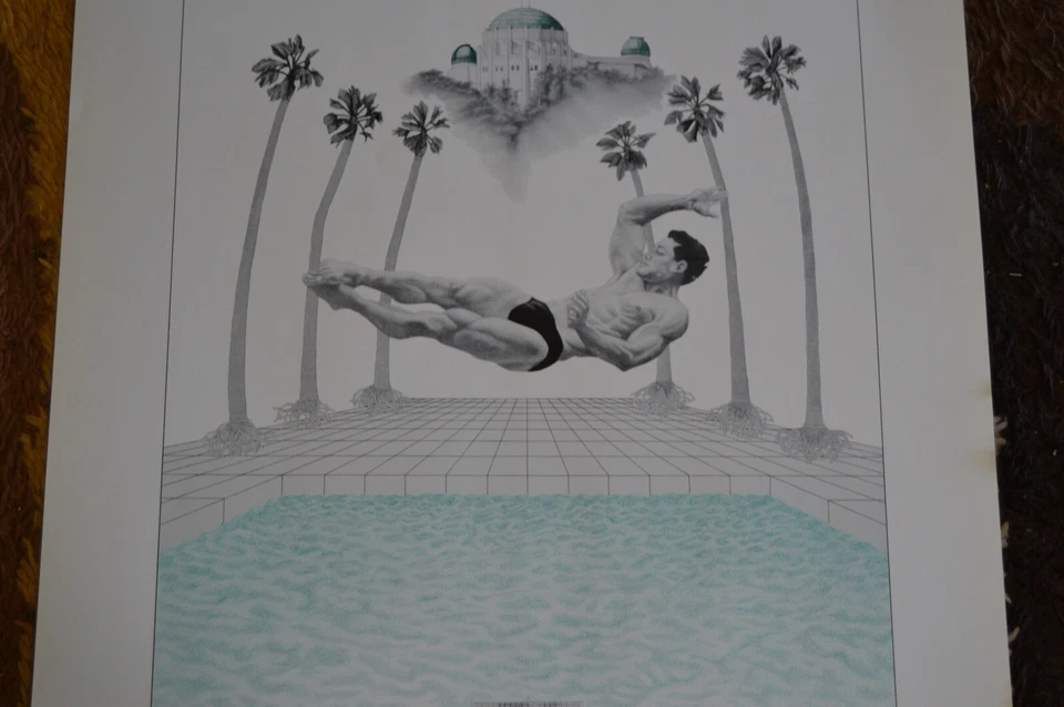 Vintage 1984 LA Olympics Mergulhador Interesse Gay Gamar Studios Jogos de Verão Palma de Piscina - Imagem 3 de 4