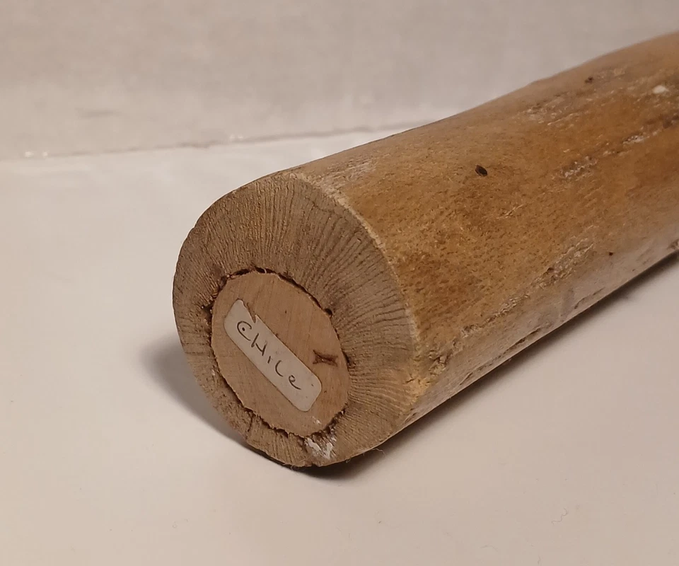 Palo de Lluvia 30" Auténtico/Pintado a Mano de Chile - Excelente Estado Foto 2 de 3