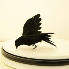Black Halloween Bird Realistic Feather Artificial Crow Prop Simulate Raven Decor