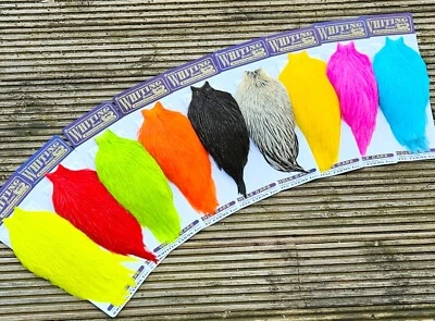 500pc Rainbow Variety 3-6" Loose CAPE Feathers Whiting Farms (saltwater flies)
