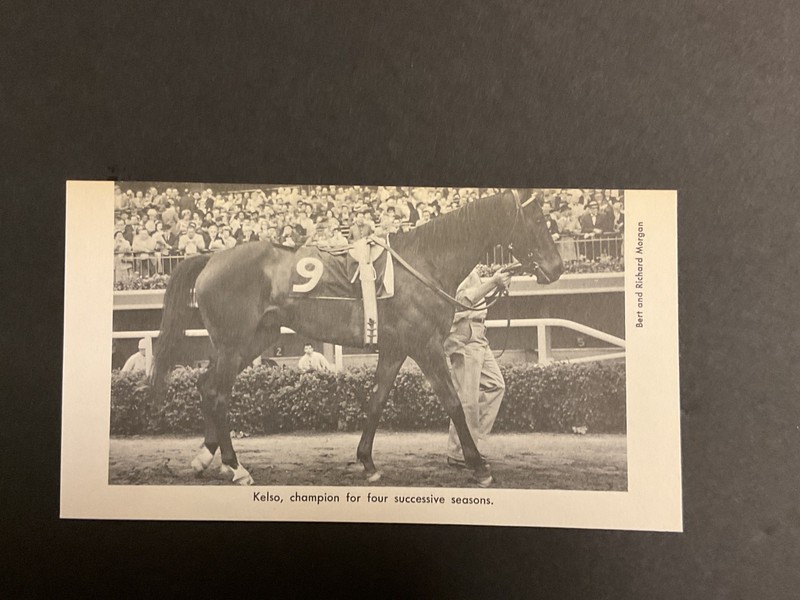 KELSO Photo Horse Racing CHAMPION