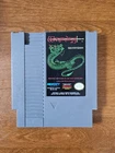 Wizardry NES