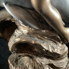 Bild 11 von 11
