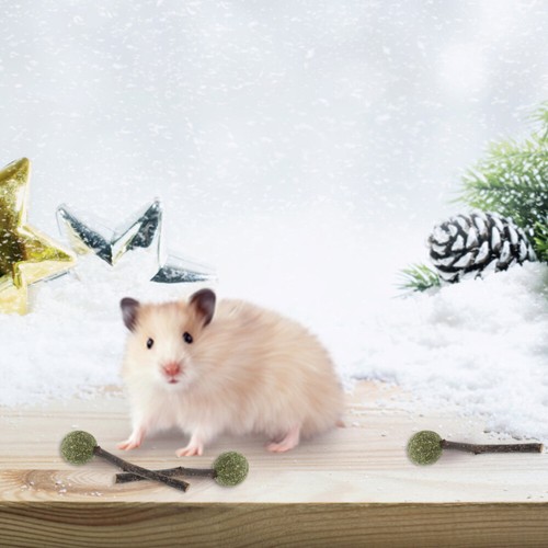4 Pcs Kautabletten Mit Hamster -Meerschweinchen -Zähne Kaubare Hamster-Snacks - Bild 2 von 12
