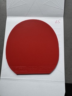 65. XIOM Vega PRO Hybrid Max rot guter Zustand nur kurz getestet