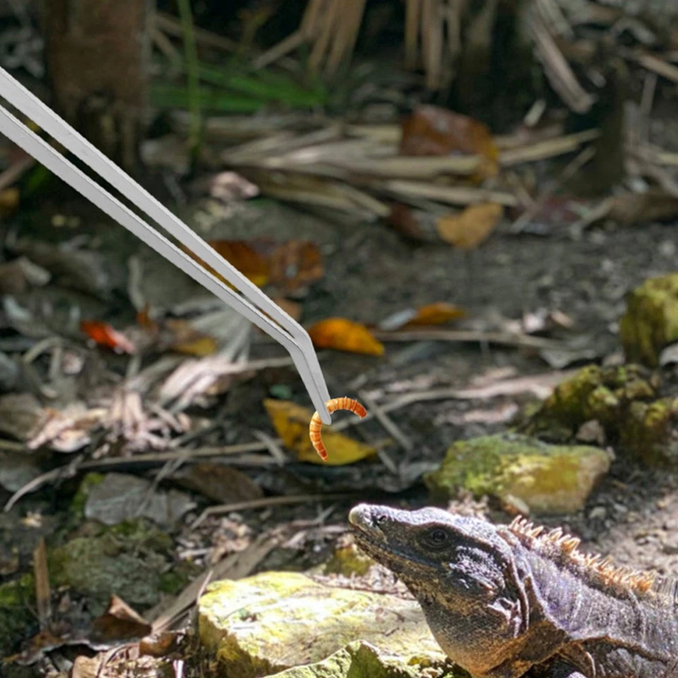 2 PIEZAS Pinzas para pecera Extra Largas Tubo Acuario Herramientas de Plantación Foto 4 de 4