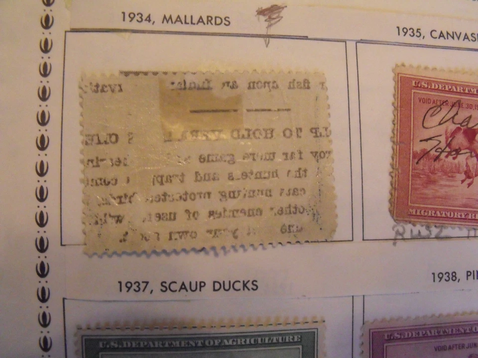 US Federal Duck Stamp set RW 1 thru RW49 Mint & Used w Album pages Collection - Image 3 of 4
