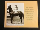 Man O’ War 10 x 8 photo Horse Racing Champion