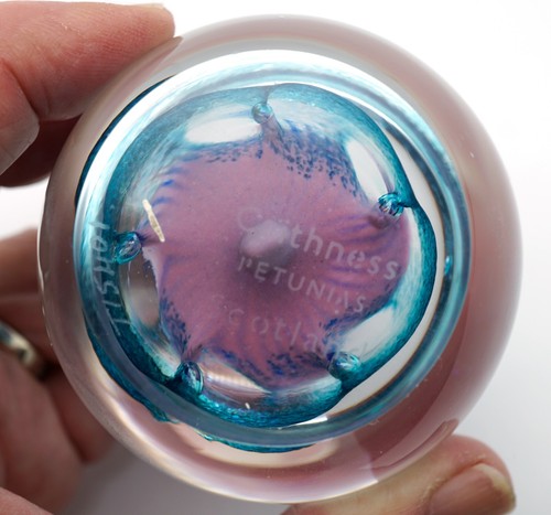 Mundgeblasene Caithness Schottland Petunien Kunst Glas Briefbeschwerer Blume signiert & # - Bild 8 von 13