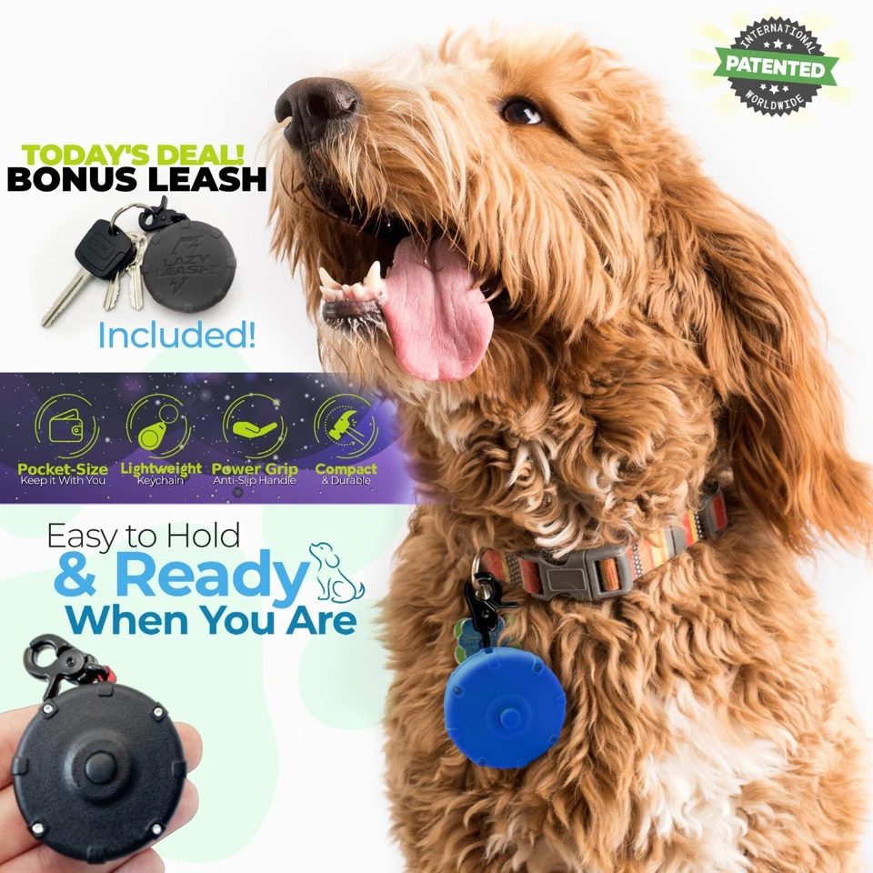 Mini Clip-On Retractable Dog Leash! (2) Rainbow + Freebie Lead 4 Training & Fun! - Image 2 of 4