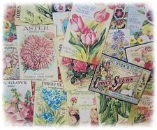 Set of 18 SEED and FLOWER Packet LABELS Vintage look Victorian Primitive/Grungy
