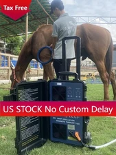 PMST Loop Pro PEMF Electro Magnetic Therapy Horse Device for Pain Relief