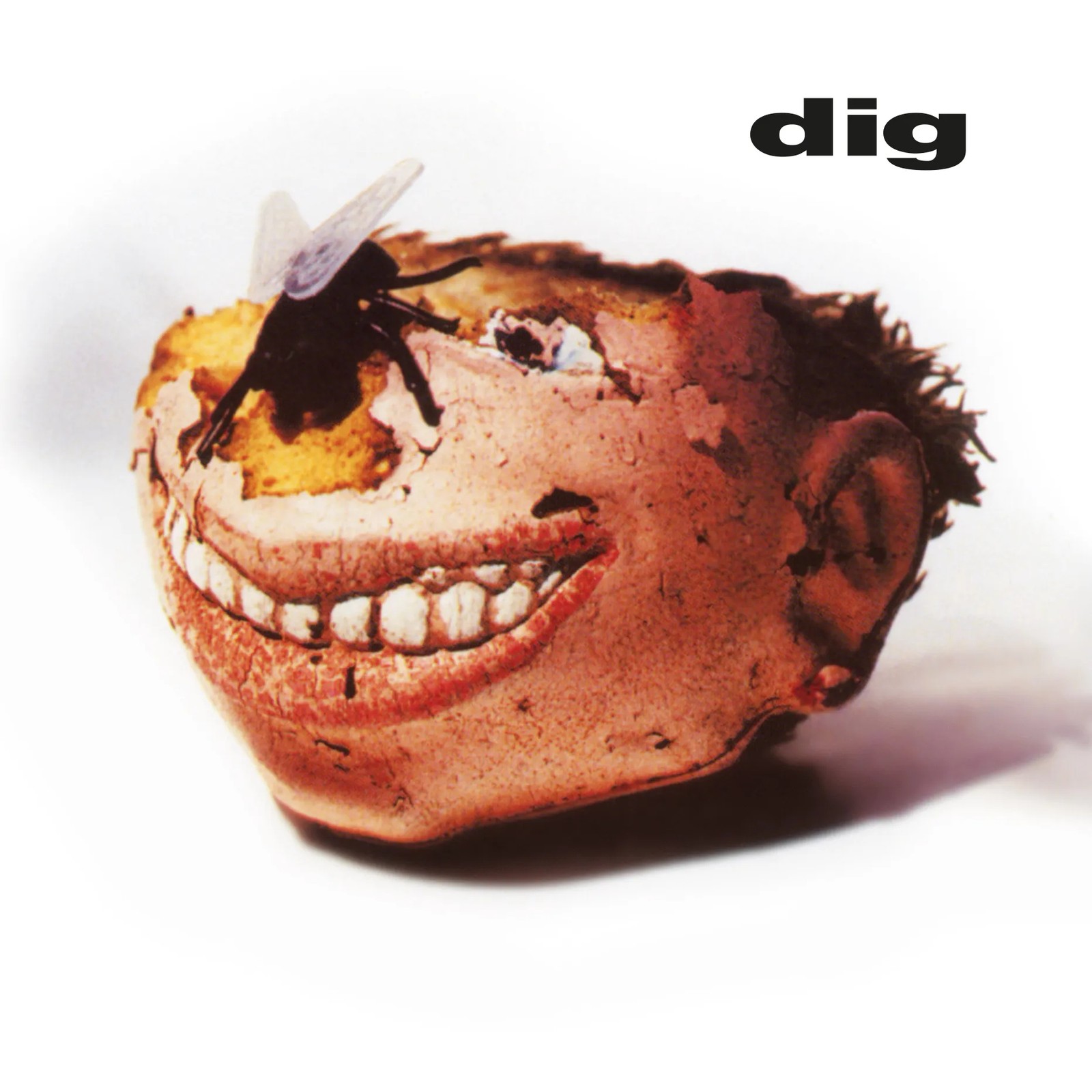 Dig Dig (Vinyl LP) 12" Album