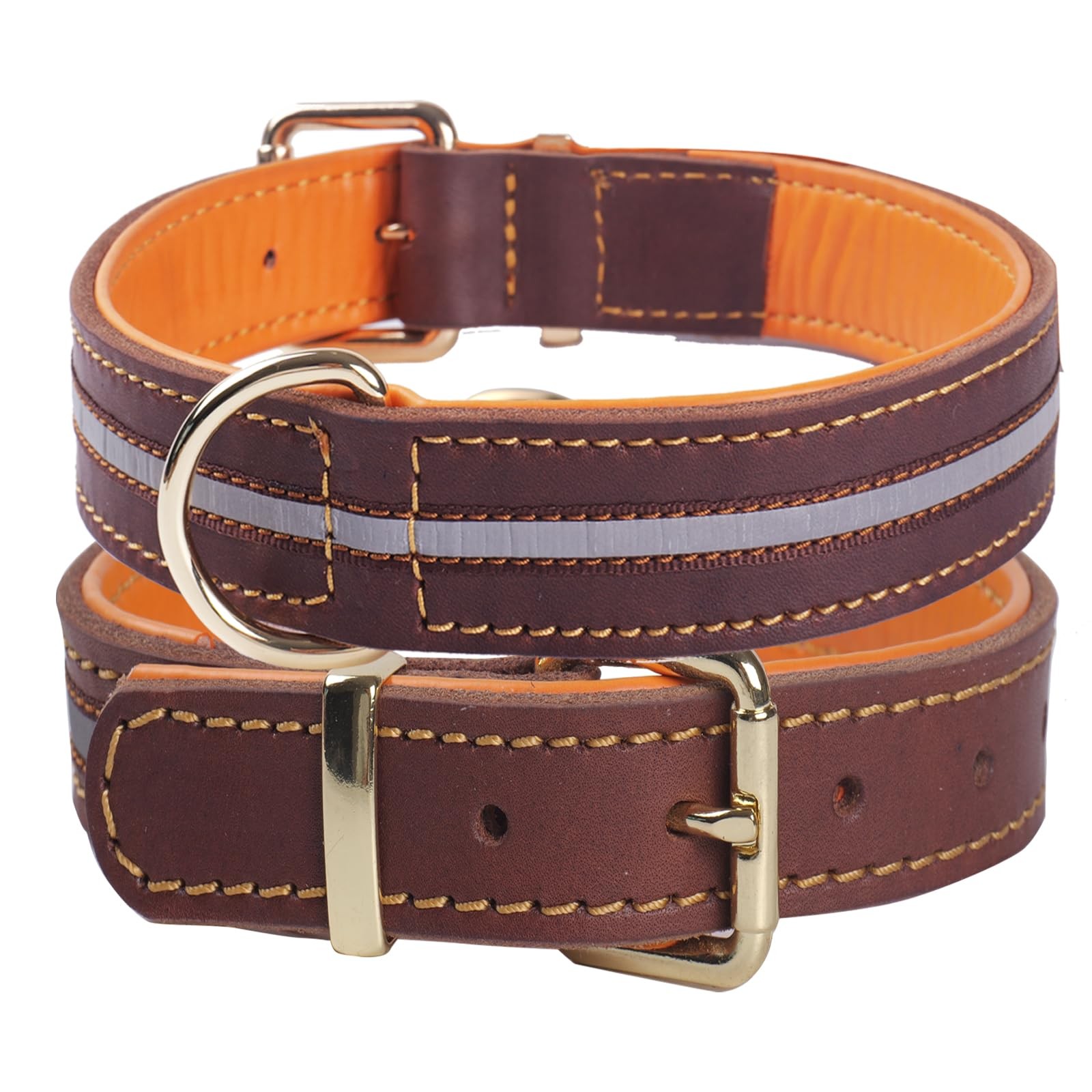 Collier pour chien en cuir robuste pour les balades sportives et randonnées en forêt