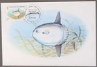 Mayfairstamps Guernsey 1985 Fish Philatelic Bureau Maximum Card first day Cover