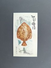 2025 Topps Allen & Ginter  -  Halibut Fish Mini Card #FGW-27