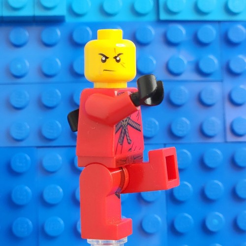 ✨Kate's Figs: LEGO - NINJAGO Heroes & Allies - Great Condition 🥷 - Picture 56 of 695