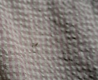 Bild 4 von 10