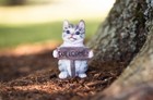 Cat Welcome Sign Garden Statue Figurine 