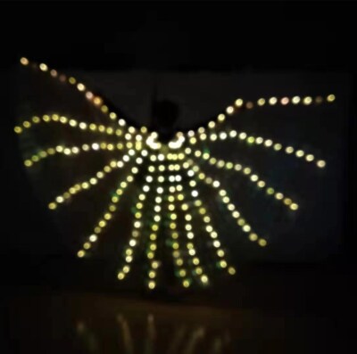 Belly Dance LED Wings Women Fluorescent Butterfly Isis Wings Led Costumes Shows