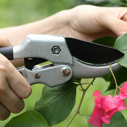 Pruning Shears 8 inch Gardening Pruner Garden Scissors Garden Ratchet Clippers - Picture 7 of 12