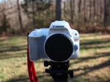 Canon SL2 Body White with Charger