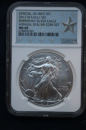 2013-W BURNISHED AMERICAN SILVER EAGLE ~ NGC MS69 ANNUAL DOLLAR COIN SET