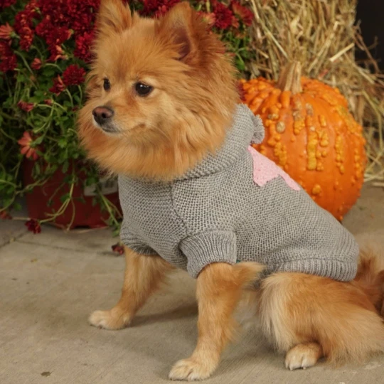 Knitted Dog Sweater with Star / Small Dog Sweater /Grey Dog Sweater / Dog Hoodie - Image 2 of 4