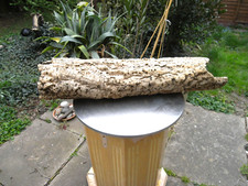 Cork Oak Portugal, Hollow Wood Bark Floristry Terrariums, Plant Crafts Vivarium