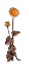 Fiore "Gerbera fiore arancione" in bronzo 53x16 cm figura scultura cimitero tomba