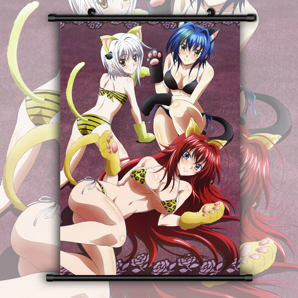 Anime Poster High School DxD characters Wall Scroll HD Painting Decor  60x40cm