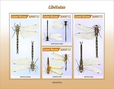 Dragonflies