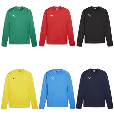 Puma Herren Pullover teamGOAL Training Sweat 658649