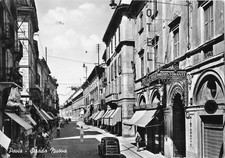 PAVIA - STRADA NUOVA - ANIMATA - CARTOLINA FORMATO GRANDE  VIAGGIATA