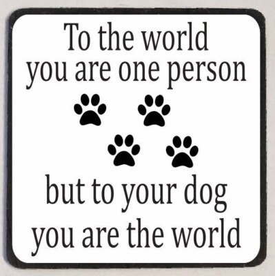You Are The World Refrigerator Magnet M78