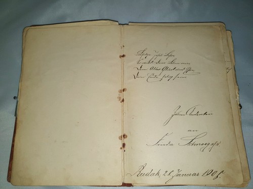 Poesiealbum 1908 Thorn - Rudak, Fam. Janke, Kaecker, Retzlaff, Ahnenforschung - Bild 10 von 16