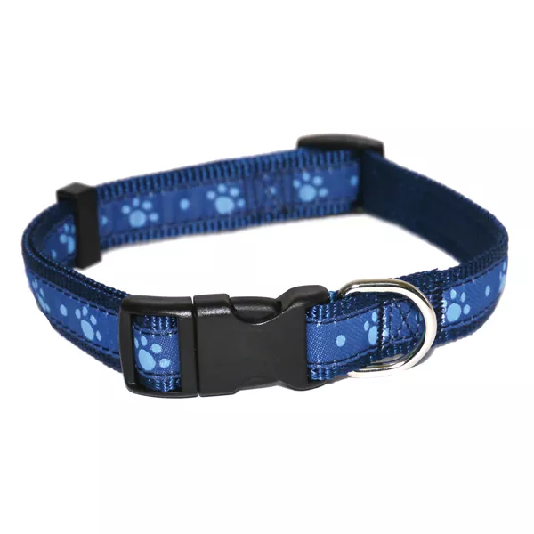 Light blue dog clearance collars