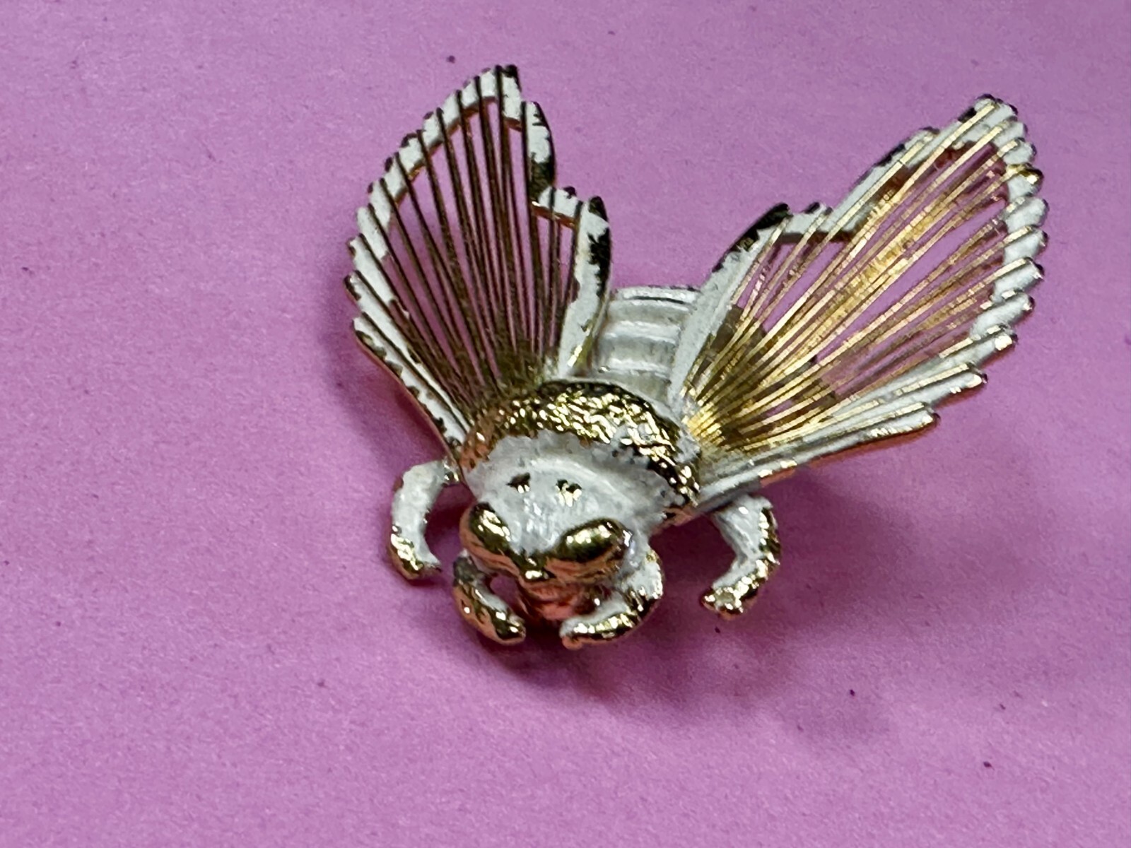 Picture 17 of 18