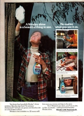 Windex 1977 Magazine Ad Vintage Print Cleaning Home Ammonia-D Retro Kitchen