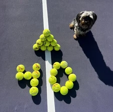 40 Used Tennis Balls