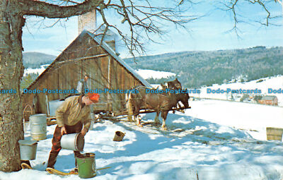 R063974 Maple Sugar Time in Vermont. 1976