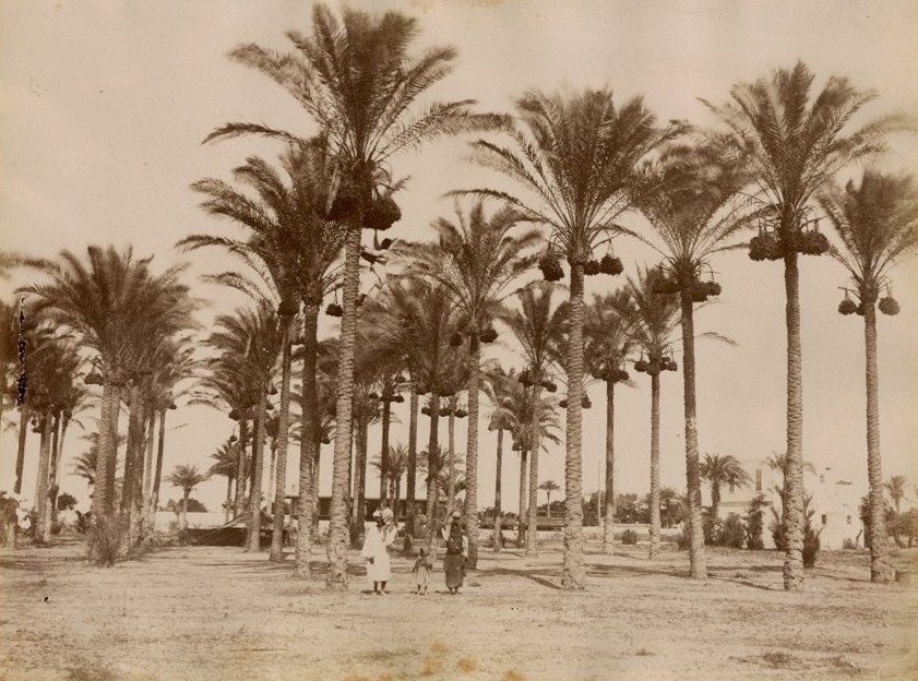 Photo 1/1