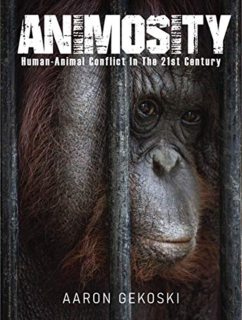 Animosity by Aaron Gekoski (Hardback Book)