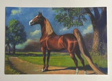 POSTCARD BEAUTIFUL  SADDLEBRED NAMED WINSDOWN CELEBRATION HORSE ART 4”x6”